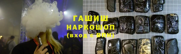 индика Белокуриха