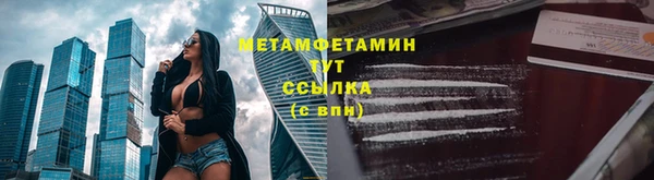 индика Белокуриха