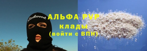 индика Белокуриха
