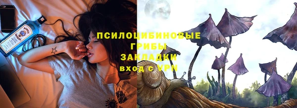 индика Белокуриха